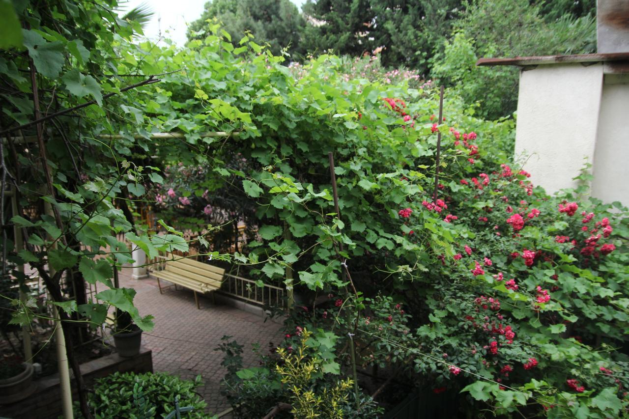 Guesthouse Different Tbilisi Exteriér fotografie