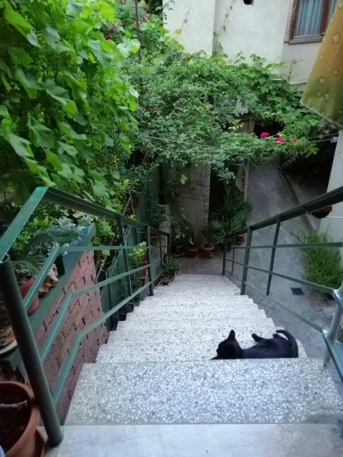 Guesthouse Different Tbilisi Exteriér fotografie